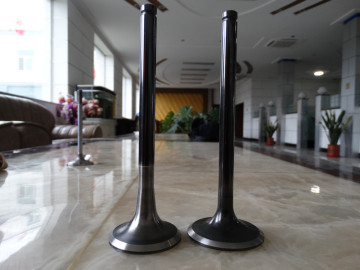 Car Engine Valve Spare Used for TOYOTA5L