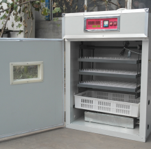 Full Automatic Solar Trout Egg Incubator Controller