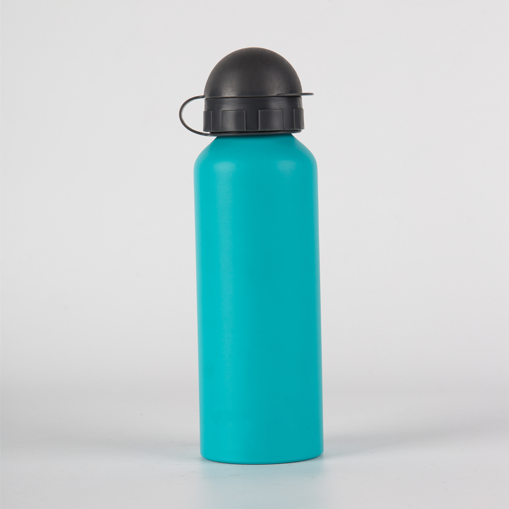 300ml Metal Water Bottle with Lid