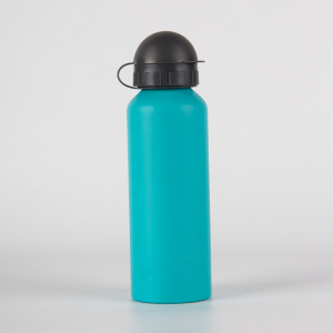 300ml Metal Water Bottle with Lid