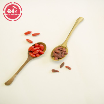 Increase calcium absorption lose weight goji berries