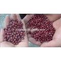 Mesin Pemoles Kacang Merah