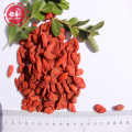 Baie de goji riche en polysaccharides de goji / détaine / zéaxanthine