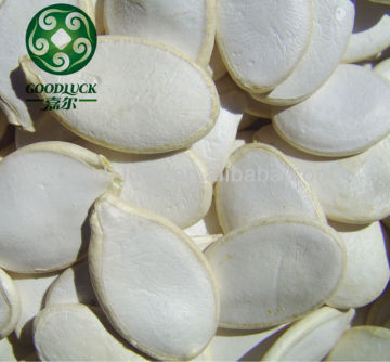 High Quality Bulk Pumpkin Seeds Planting