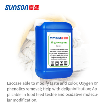 เอนไซม์ Laccase เสริมอาหารสำหรับฟีนอลิคพอลิเมอร์