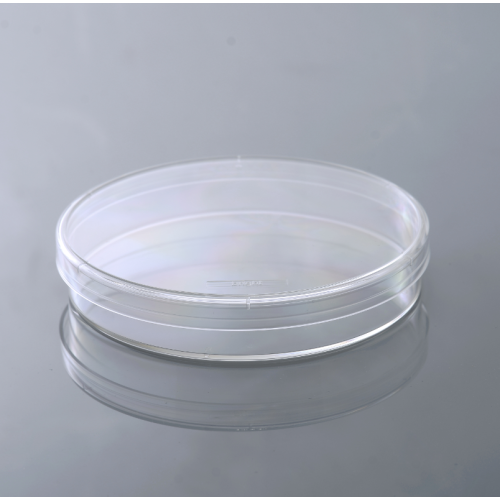 6 mm di Petri Sterile