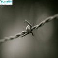 galvanized cheap barbed wire price in egypt