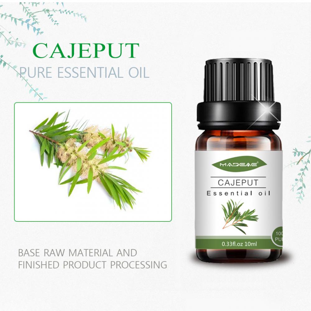 100% 순수한 천연 Cajeput Essentia Oil Therapeutil 등급