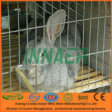 galvanized female rabbit cages for poultry farm