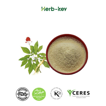 Ginseng Extract, Ginsenosides, Panax Ginseng Root Extract