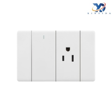 Switch-Socket Combo Panel Home Power Accessory?