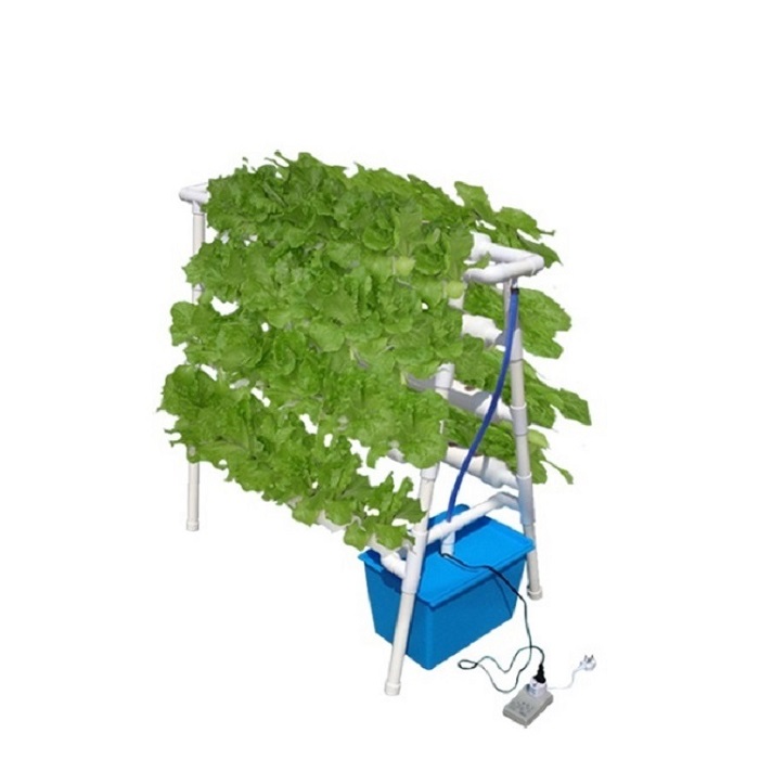 DIY Home Indoor Hydroponic Growing System