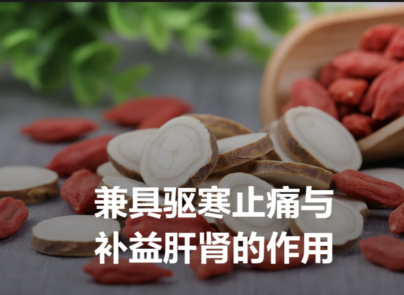 Порошок экстракта Бай Чжи Bai Zhi Extract Powder