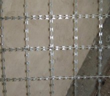 HOT DIPPED GALVANIZED razor mesh/galvanized razor mesh