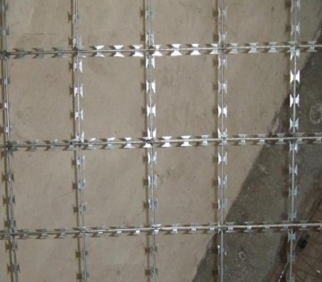 HOT DIPPED GALVANIZED razor mesh/galvanized razor mesh