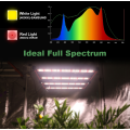 4バーLED植物はライトガビタバーを栽培します