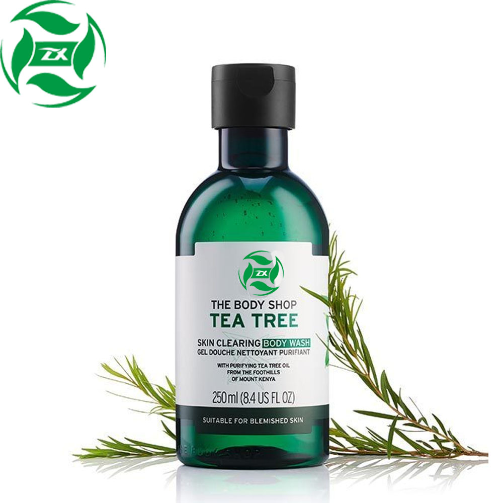 olio di tea tree organico a freddo premuto alla rinfusa