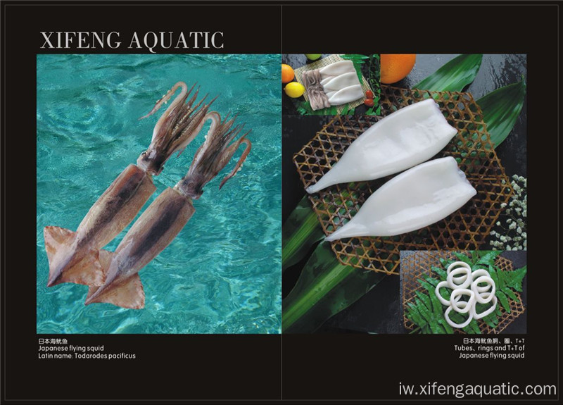 פרוזן Todarodes Pacificus Squid Tubes פירות ים קפואים