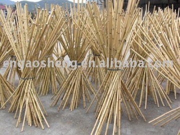 Tonkin bamboo poles,Tonkin bamboo sticks