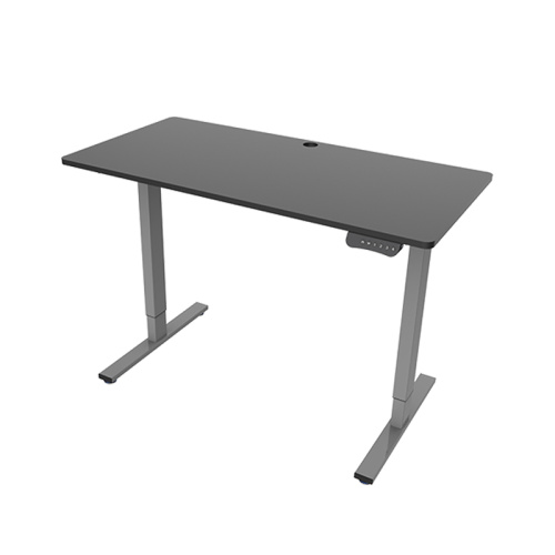 Lifting Smart Table Electric Sit Stand Desk