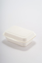 Grease-Proof 9" Biodegradable Disposable Clamshell white