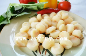 Canned Water Chestnut