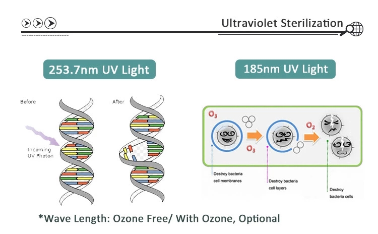 Food Sterilization UVC Lamp