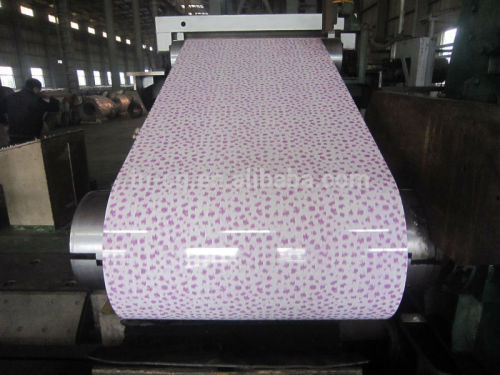 PPGI Steel Coils (Color Coated Steel Coils)