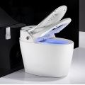 One Piece Sliver color Floor mounted Smart Toilet