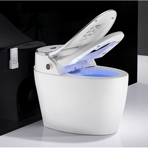 Skirted Toilet Bidet One Piece Sliver color Floor mounted Smart Toilet