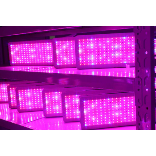 Hot Sales Plant LED Grow Lights