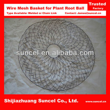 Tree Root Wire Mesh Ball