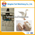 Poultry equipment chicken duck goose defeathering machine