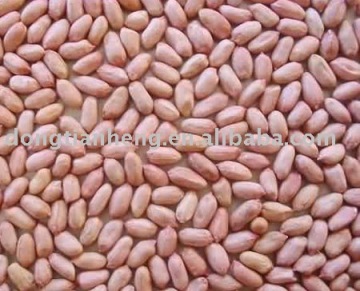 Raw Peanut Kernels