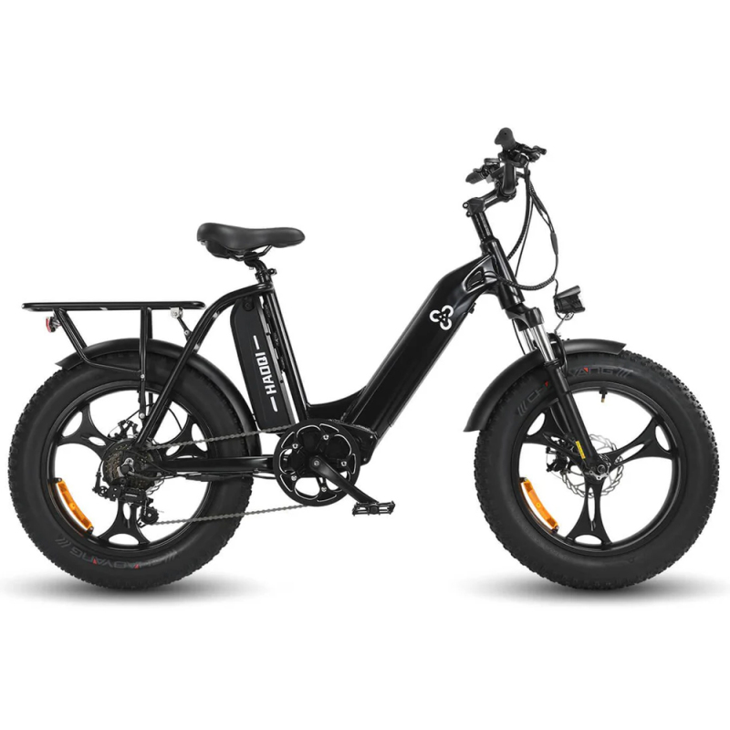 Antelope 48V 25Ah Utility Electric Bike