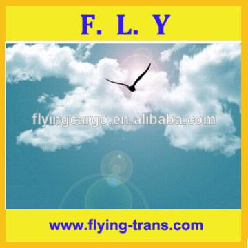 Freight forwarder china to USA