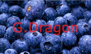 IQF Wild Blueberries