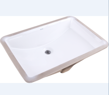 The color of the ceramic basin