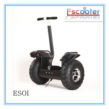 CE Approved Electric Folding Mini Bike for Adult