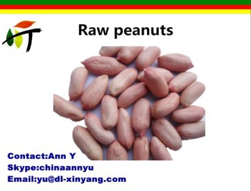 wholesale PEANUT KERNELS ,ROASTED PEANUTS ,BIGGEST PEANUT FACTORY,