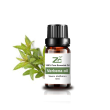 Wholesale Organic 100 Pure Bulk Price Verbena Oil