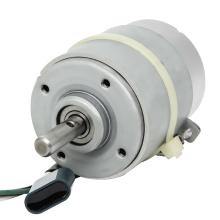 Brush Type Motor | Mini Brushed Motor | Brushed Motor Parts