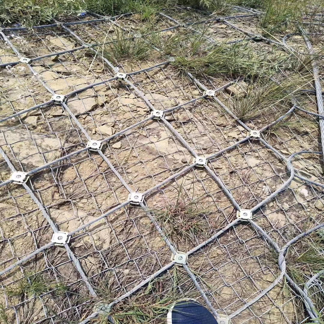 Slope Protection Mesh Fence