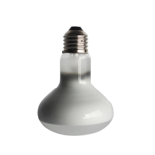 UVA Lamps and Calcium Supplements for Reptiles: Tortoises and Snakes