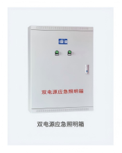 Dual power emergency lighting box