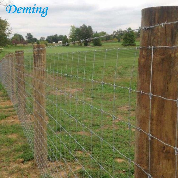 hot dipped galvanized low cost goat farm fence