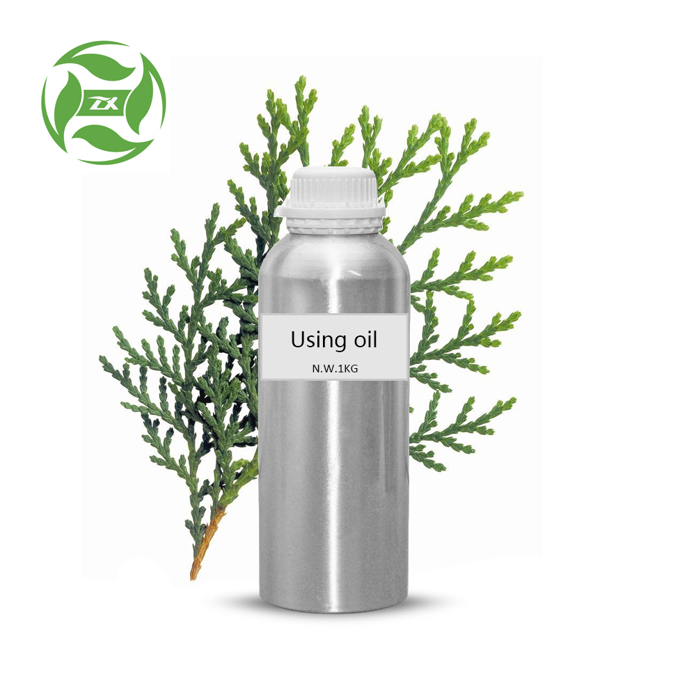 Factory Supply 100% Pure Arborvitae Essential Oil Price