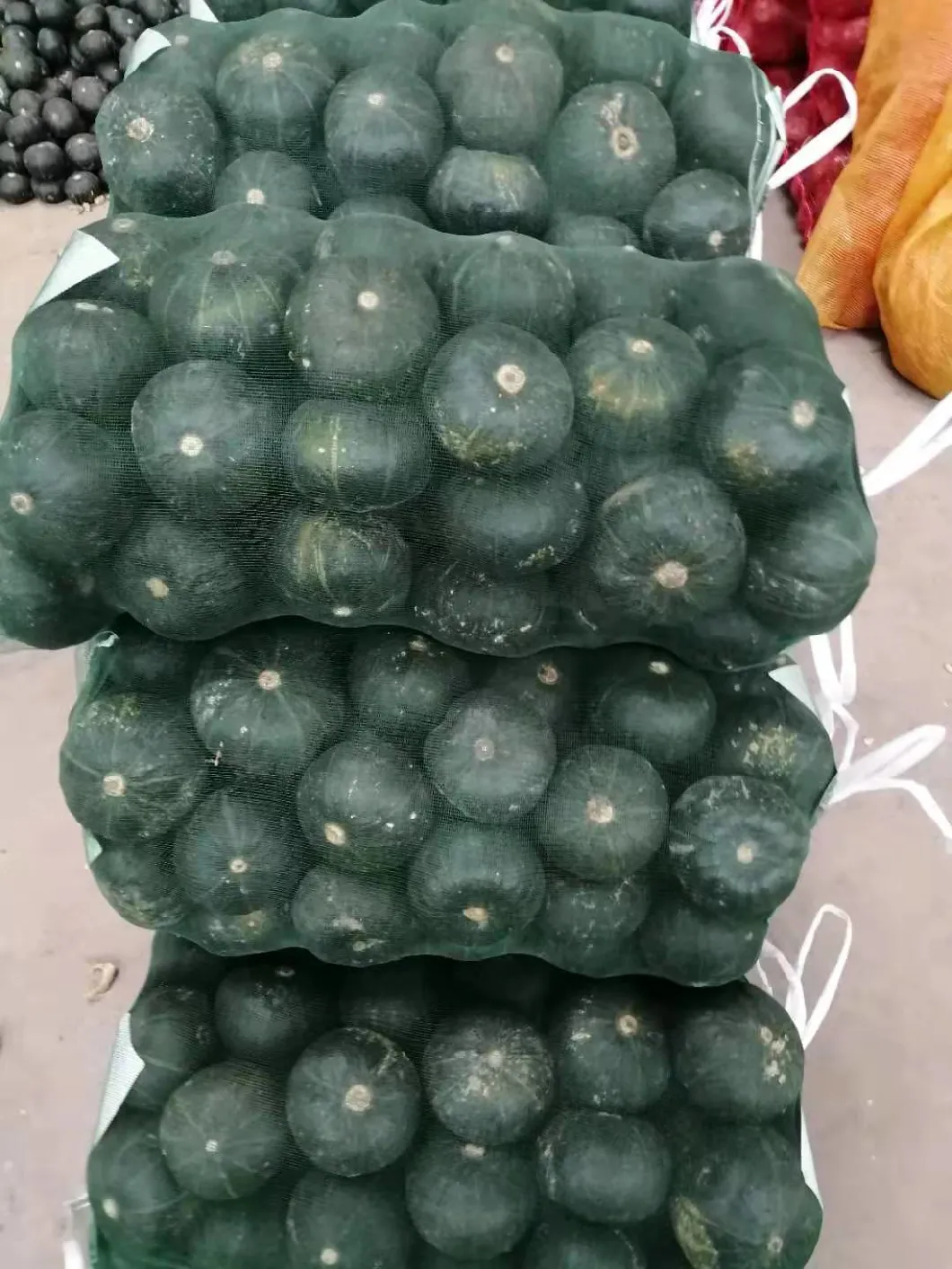 Fresh Pumpkin, High Quality Fresh Mini Pumpkin From China