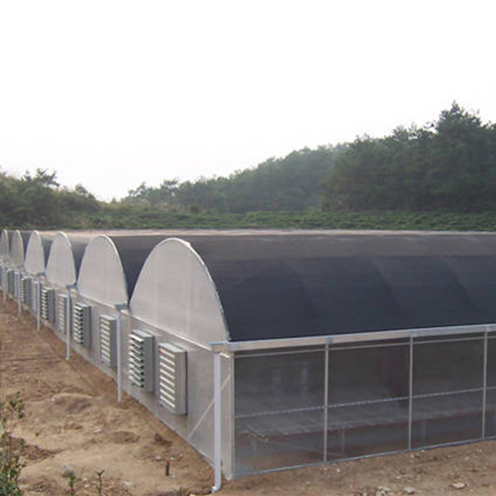 Venlo Multi-Span PC Board Greenhouse