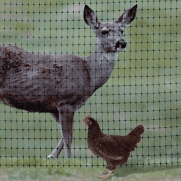 Hebei popular Deer field fence